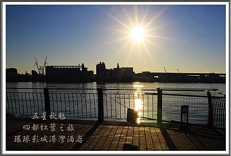 2013日本賞楓之旅D5020
