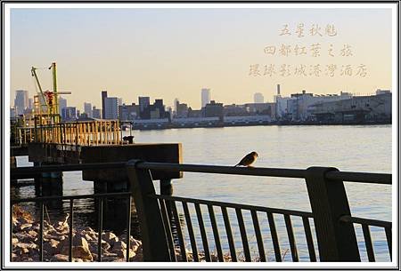 2013日本賞楓之旅D5022