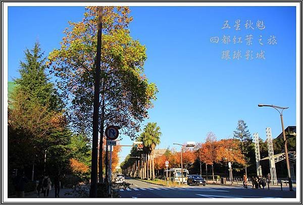 2013日本賞楓之旅D5033