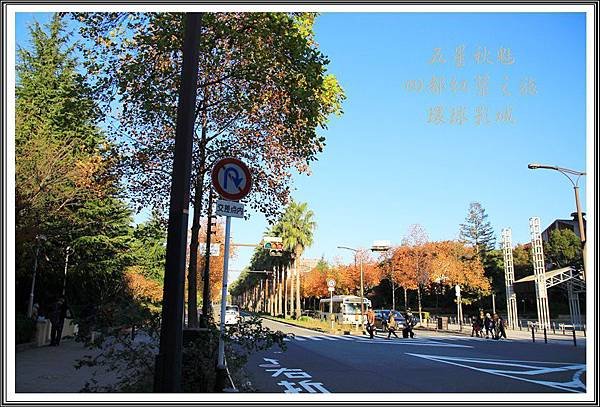 2013日本賞楓之旅D5034