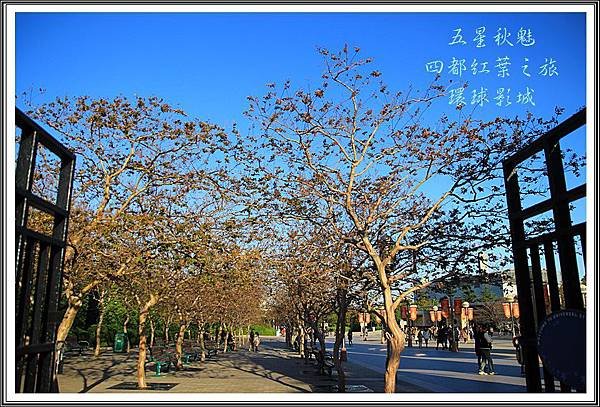 2013日本賞楓之旅D5046