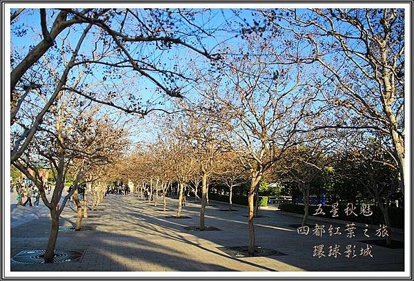 2013日本賞楓之旅D5052
