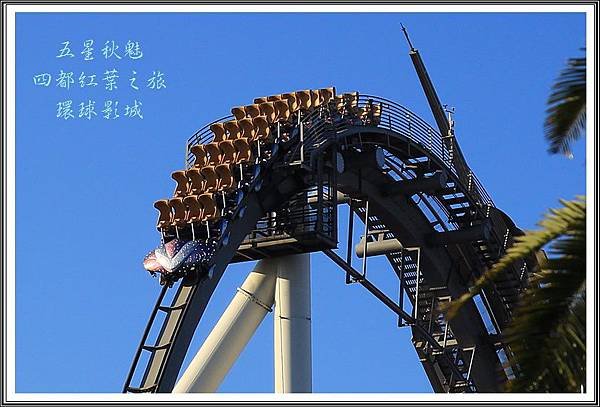 2013日本賞楓之旅D5055