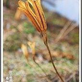 2014日本北陸賞雪D1028