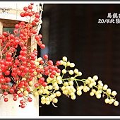 2014日本北陸賞雪D1061