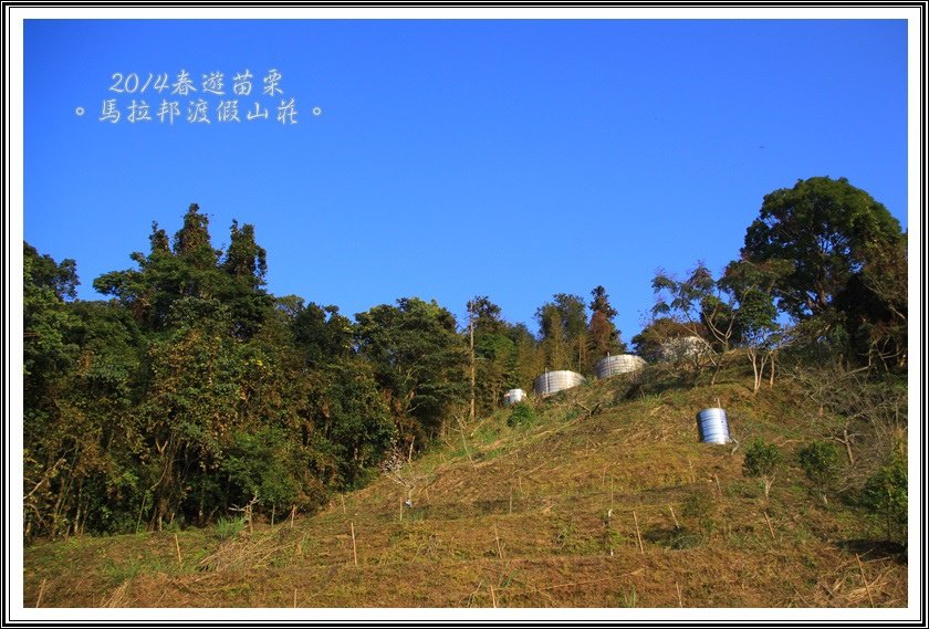 2014春遊苗栗D1138