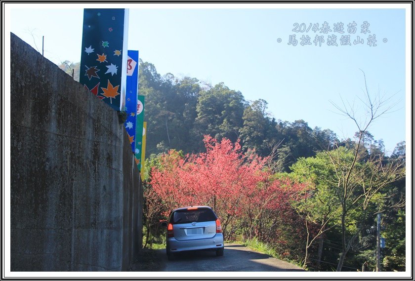 2014春遊苗栗D2047