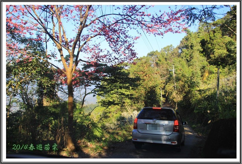 2014春遊苗栗D2048