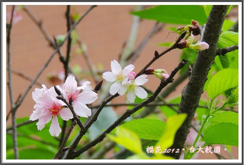 DSCN0171