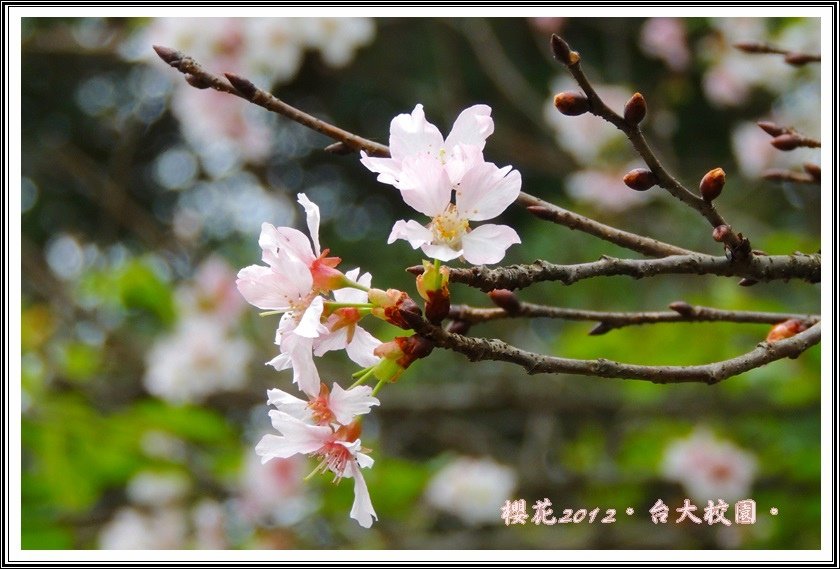 DSCN0176