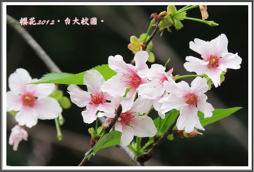 DSCN0177