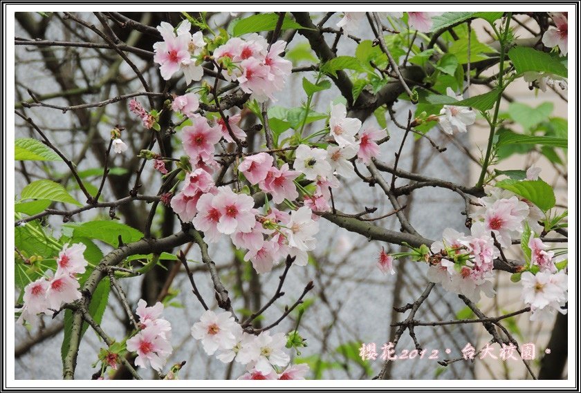 DSCN0178
