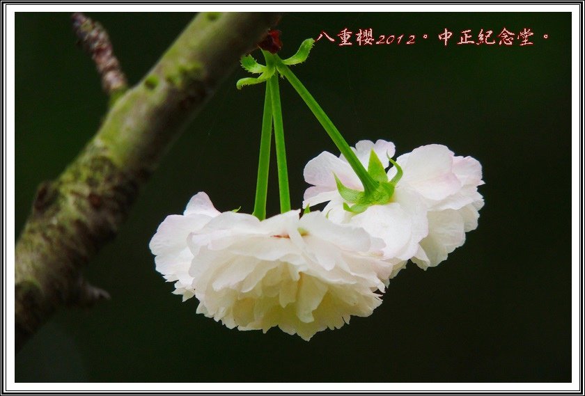 DSCN0339