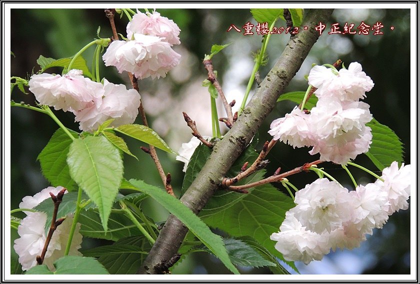 DSCN0340