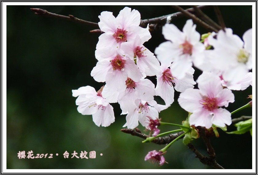 P1630623