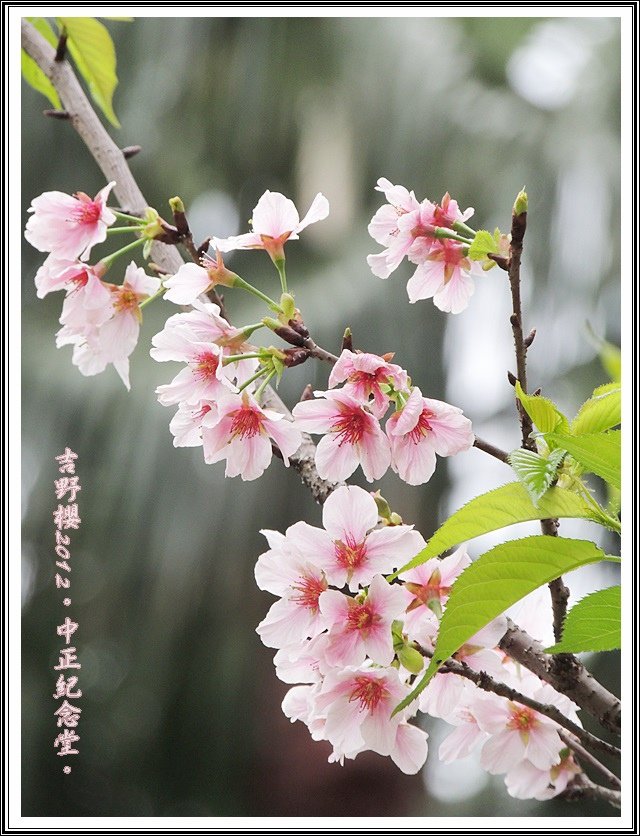 DSCN0367