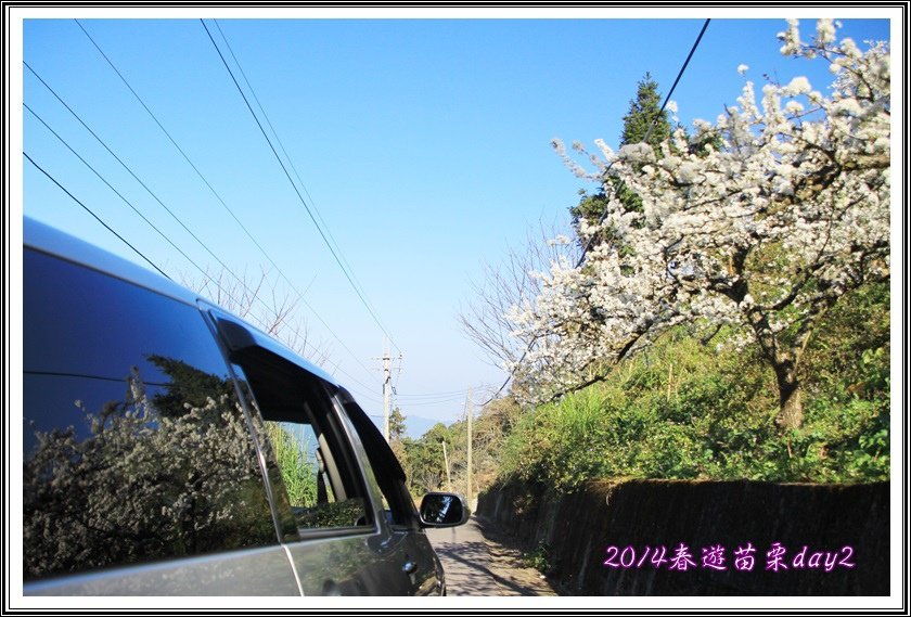 2014春遊苗栗D2056