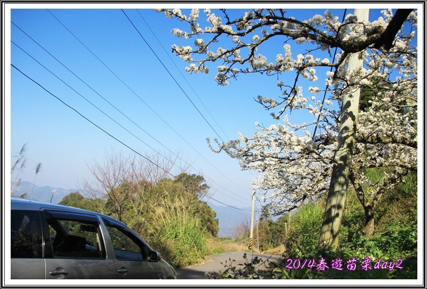 2014春遊苗栗D2057