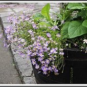 IMG_1643