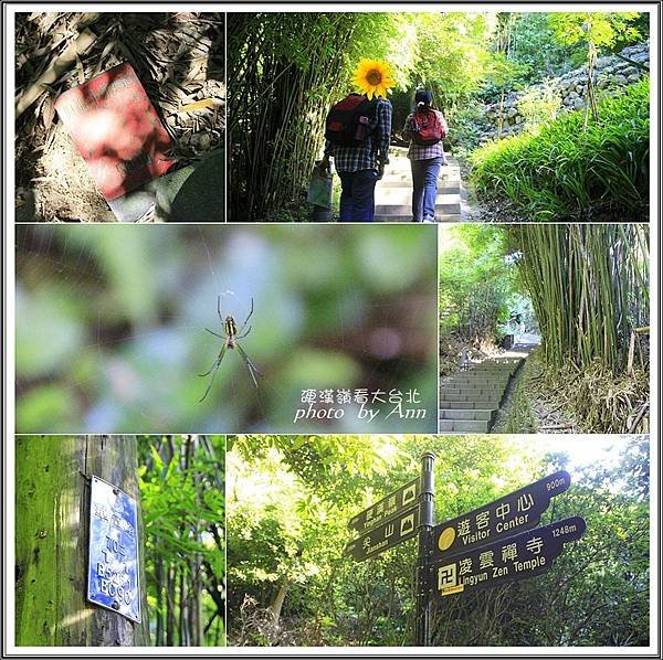 登硬漢嶺看大台北04