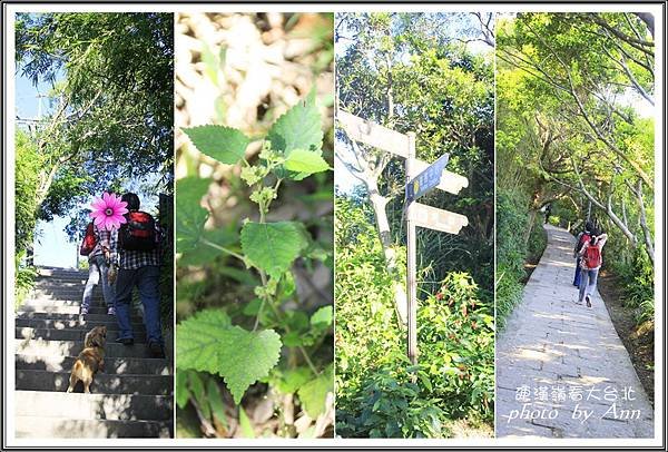 登硬漢嶺看大台北09