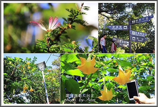 登硬漢嶺看大台北20