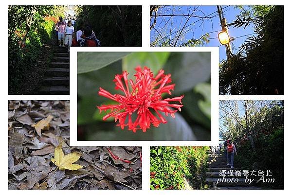 登硬漢嶺看大台北21