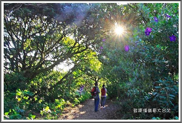 登硬漢嶺看大台北37