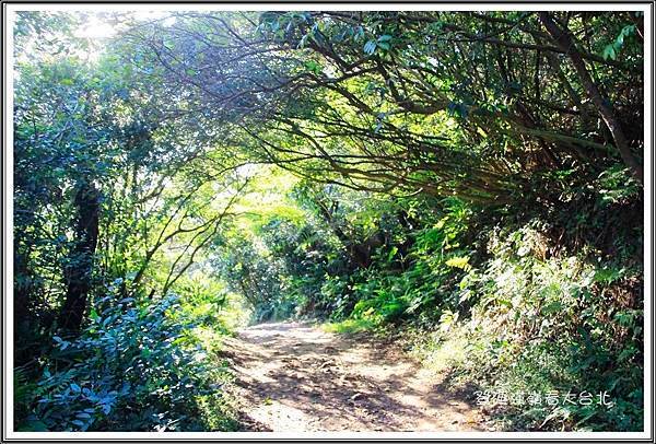 登硬漢嶺看大台北38