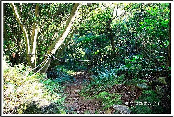 登硬漢嶺看大台北42