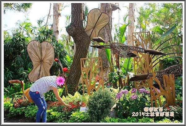 2015士林官邸菊展06