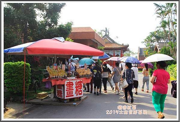 2015士林官邸菊展29
