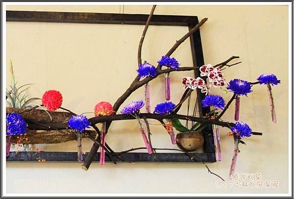 2015士林官邸菊展36
