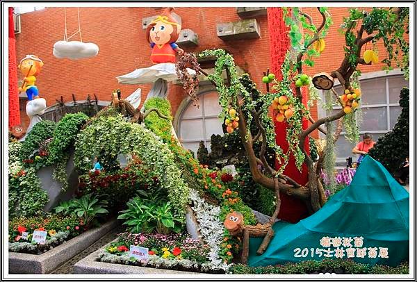2015士林官邸菊展61