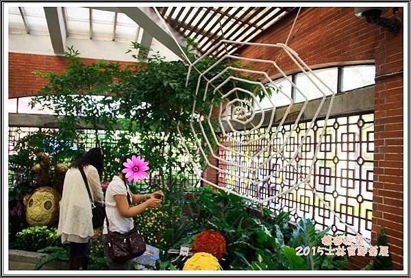 2015士林官邸菊展65
