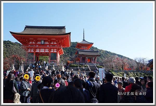 2015京阪自由行D213