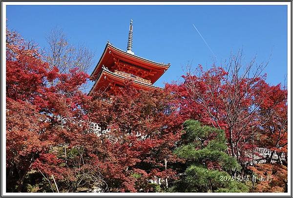 2015京阪自由行D217