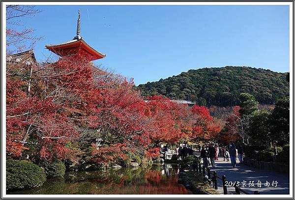 2015京阪自由行D227