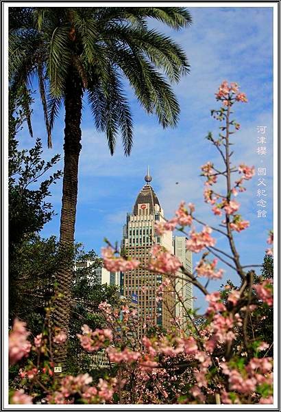 賞櫻。國父紀念館2016022802