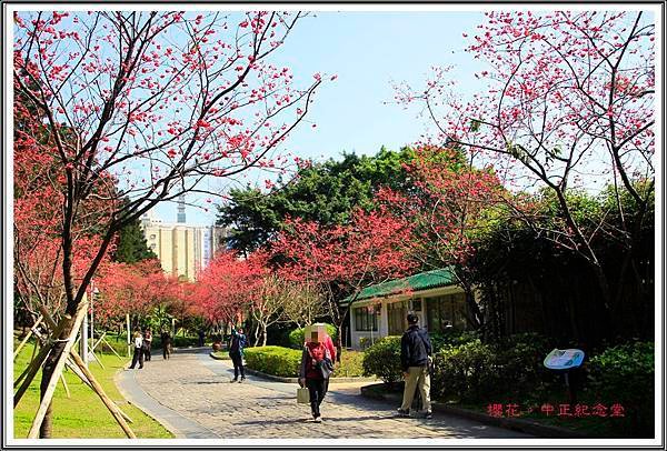 賞花隨拍~中正紀念堂20160307
