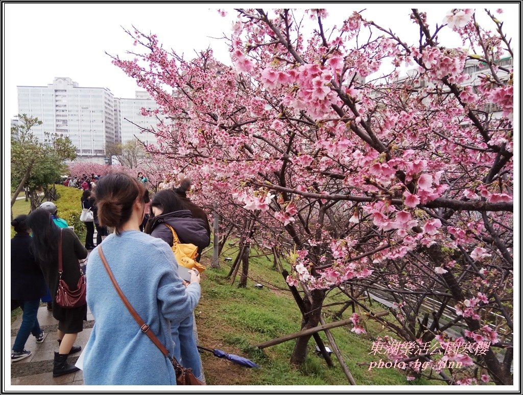 20170223東湖樂活公園寒13