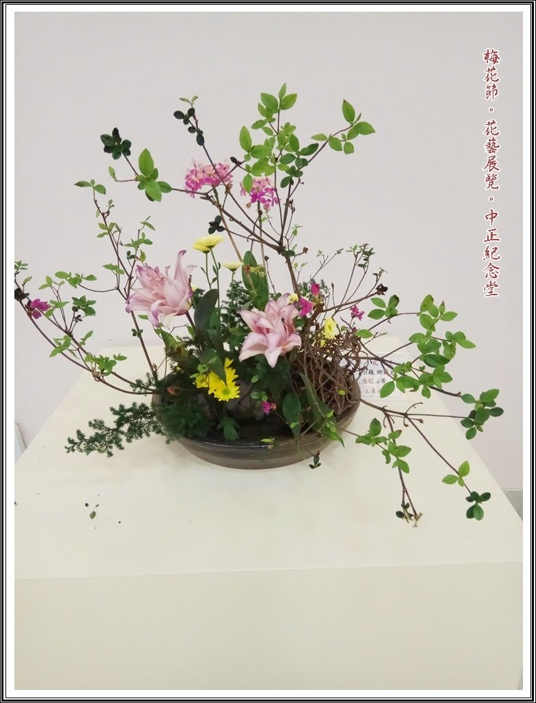 2017中正梅花節~翫遊花漾03