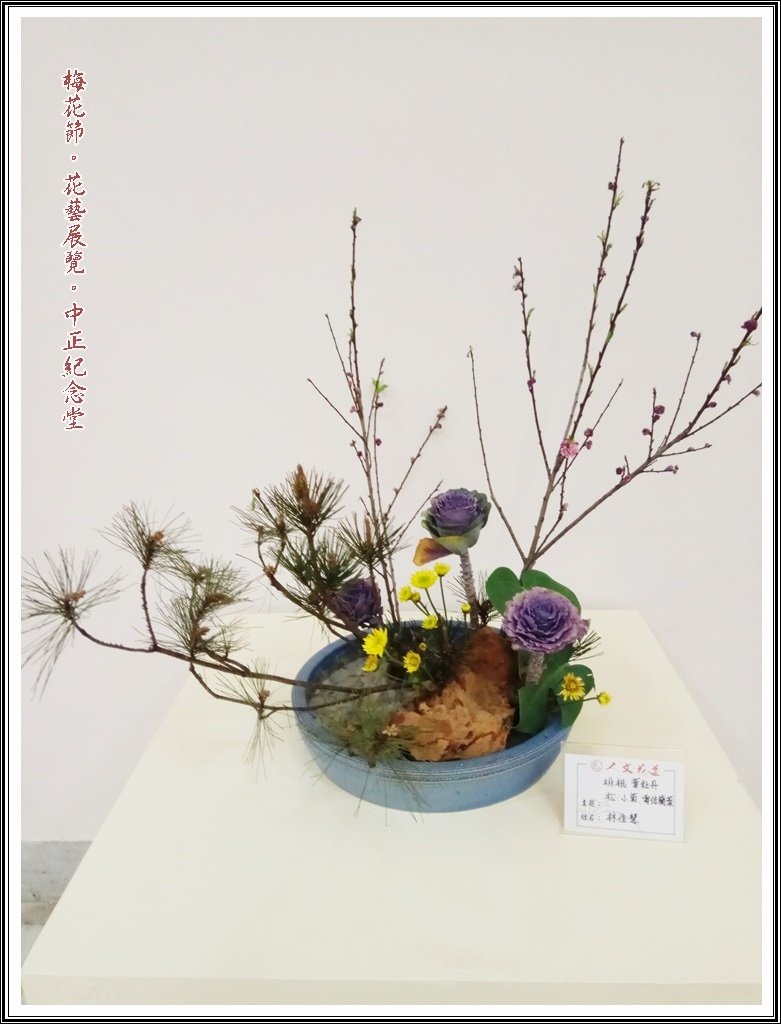 2017中正梅花節~翫遊花漾04
