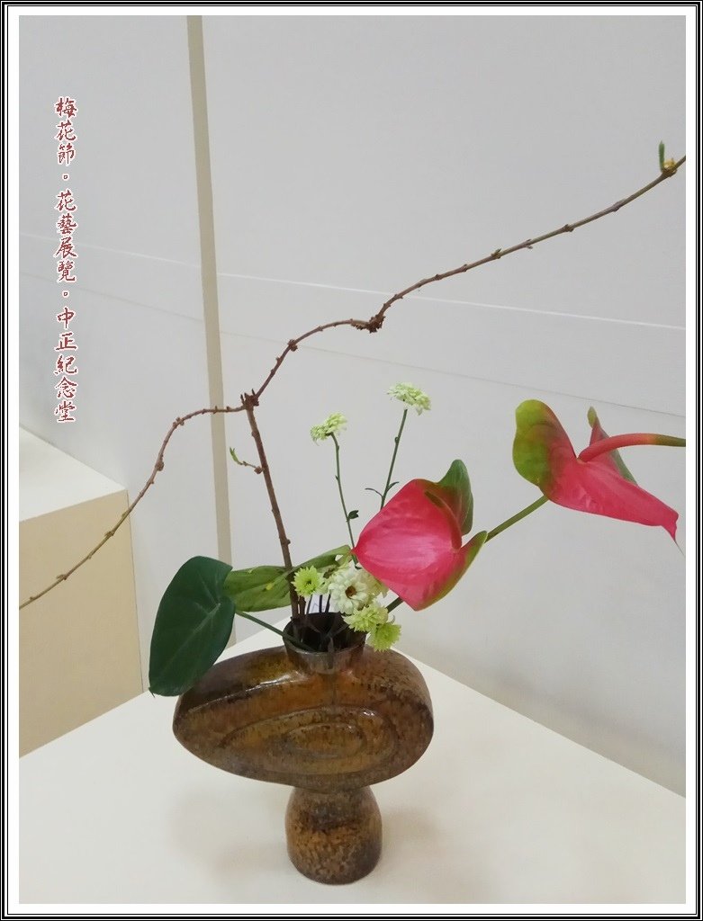 2017中正梅花節~翫遊花漾08