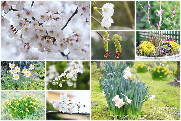 2014北陸櫻花紀行篇D2006