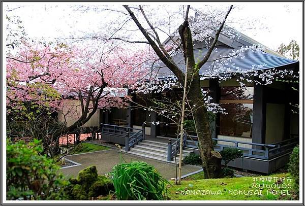 2014北陸櫻花紀行篇D2009