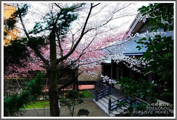 2014北陸櫻花紀行篇D2010