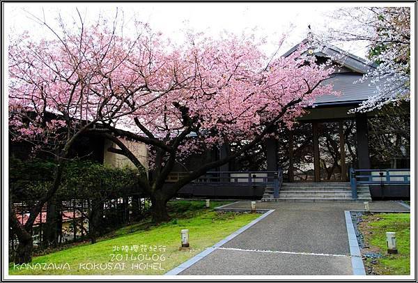 2014北陸櫻花紀行篇D2011