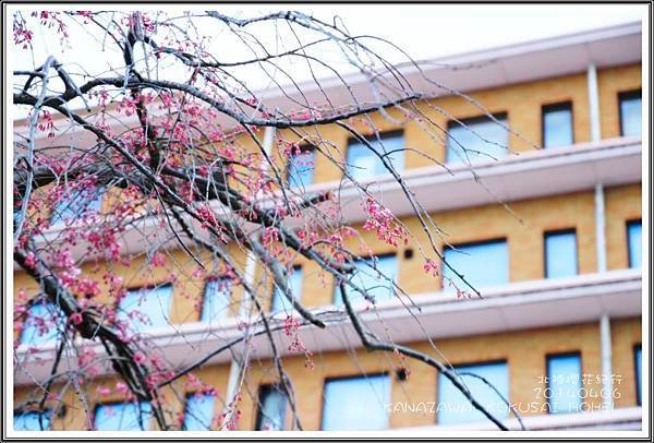 2014北陸櫻花紀行篇D2022