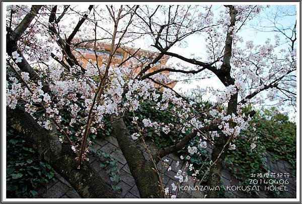 2014北陸櫻花紀行篇D2027